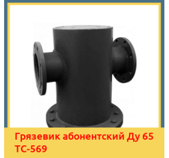 Грязевик абонентский Ду 65 ТС-569 в Павлодаре