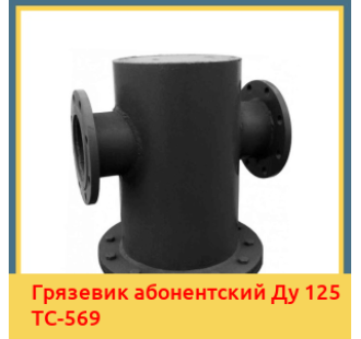 Грязевик абонентский Ду 125 ТС-569 в Павлодаре