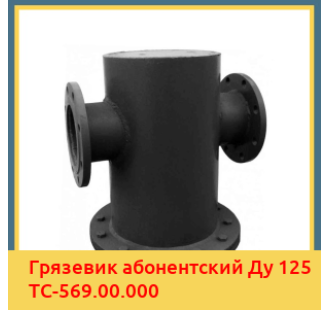 Грязевик абонентский Ду 125 ТС-569.00.000 в Павлодаре