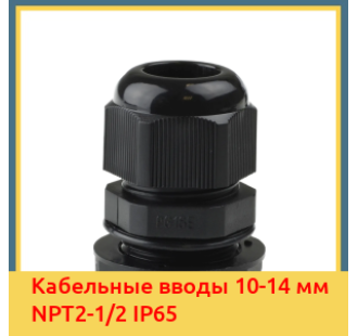 Кабельные вводы 10-14 мм NPT2-1/2 IP65 в Павлодаре