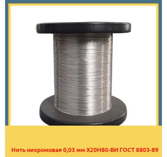 Нить нихромовая 0,03 мм Х20Н80-ВИ ГОСТ 8803-89 в Павлодаре