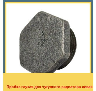 Пробка глухая для чугунного радиатора левая в Павлодаре