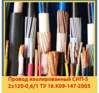 Провод изолированный СИП-5 2х120-0,6/1 ТУ 16.К09-147-2005 в Павлодаре
