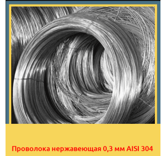 Проволока нержавеющая 0,3 мм AISI 304 в Павлодаре