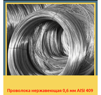 Проволока нержавеющая 0,6 мм AISI 409 в Павлодаре