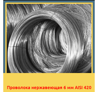 Проволока нержавеющая 6 мм AISI 420 в Павлодаре