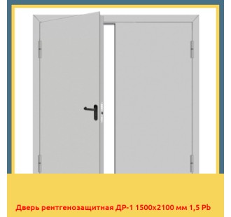 Дверь рентгенозащитная ДР-1 1500х2100 мм 1,5 Pb