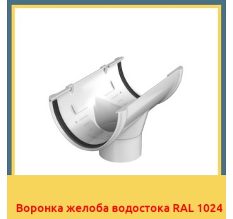 Воронка желоба водостока RAL 1024 в Павлодаре