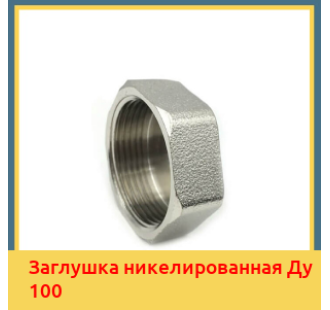 Заглушка никелированная Ду 100 в Павлодаре